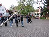 Maibaum 2009 152
